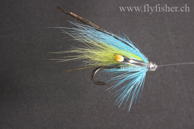 small Tubefly blue yellow